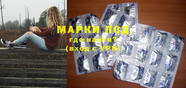 гашик Аркадак