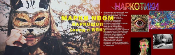 гашик Аркадак