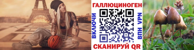 MEGA зеркало  Владивосток  Псилоцибиновые грибы Psilocybe 